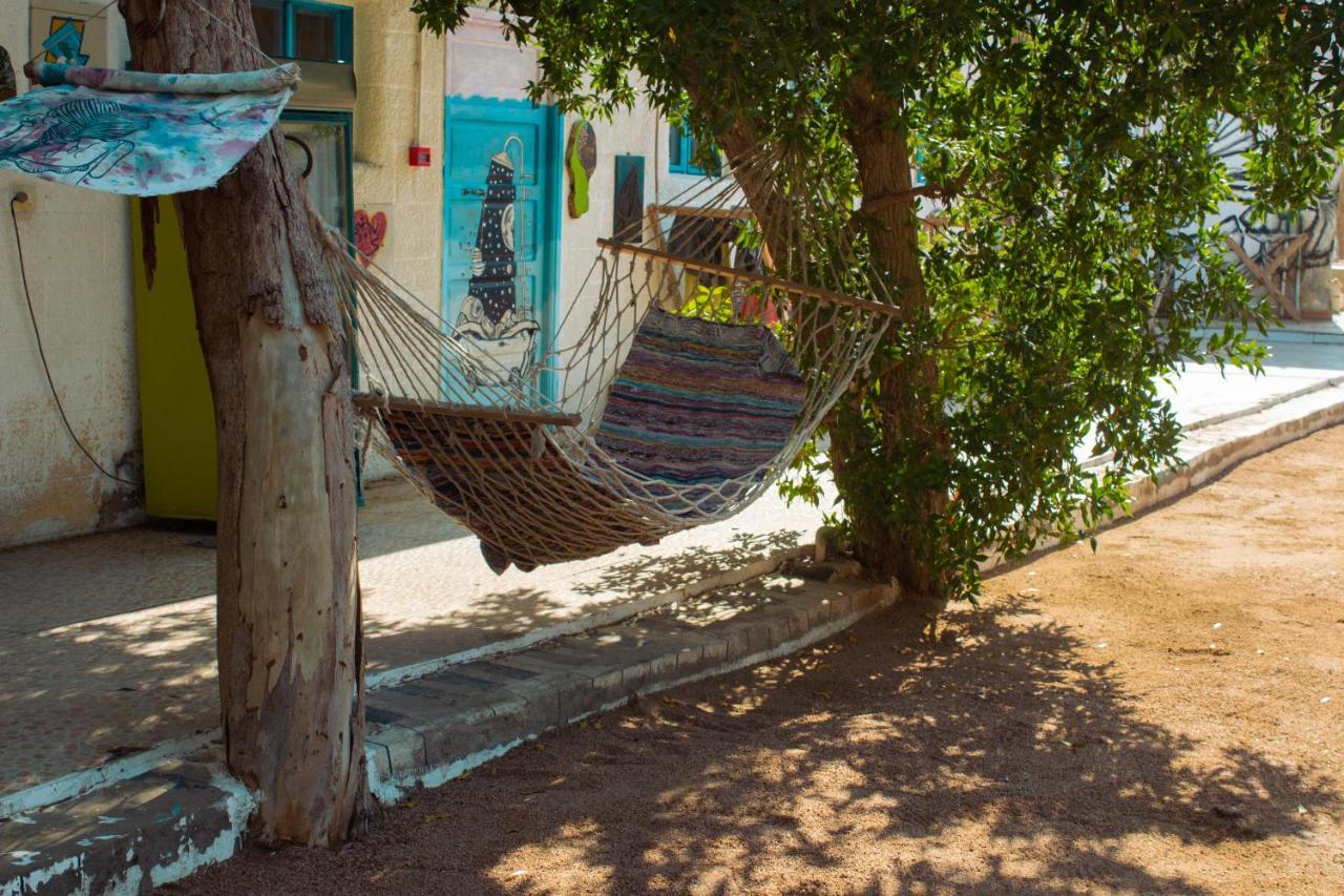 فندق Elrayga Camp دهب المظهر الخارجي الصورة