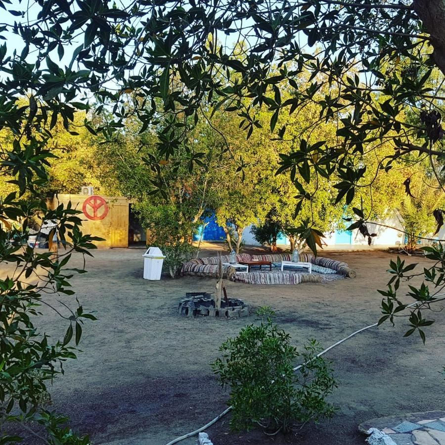 فندق Elrayga Camp دهب المظهر الخارجي الصورة